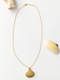 Gold-filled scallop shell pendant necklace on an 18-inch chain