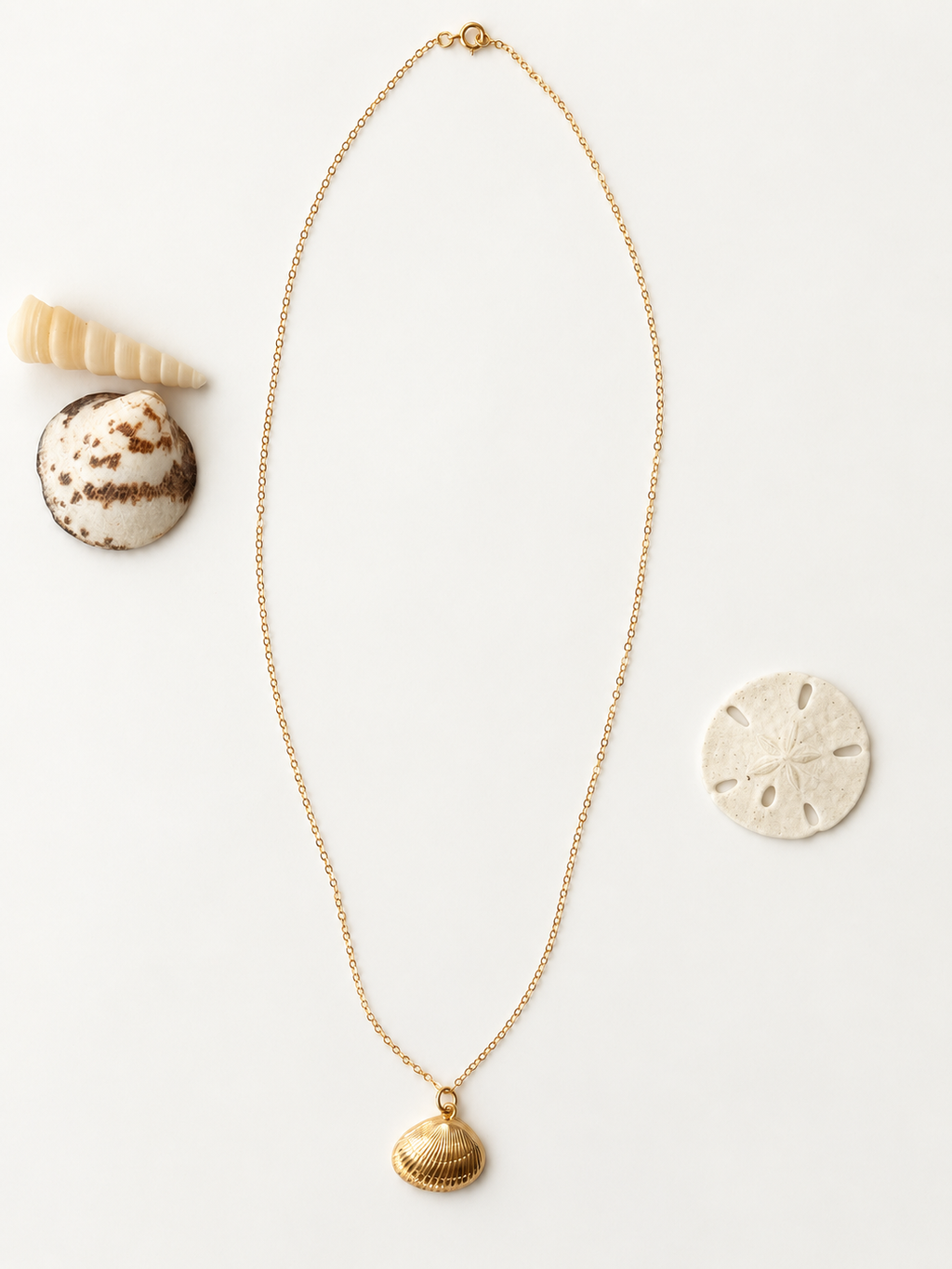 Gold-filled clam shell pendant necklace on an 18-inch chain