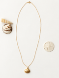 Gold-filled clam shell pendant necklace on an 18-inch chain
