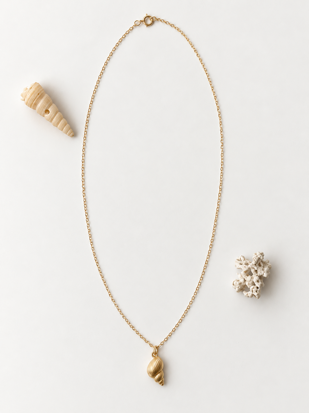Gold-filled necklace with a petite conch shell pendant