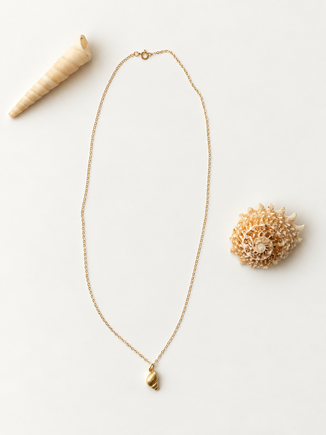 Gold-filled conch shell necklace by Coastal Cloth Co.